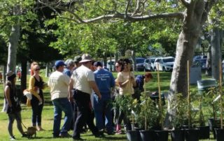 Valley Village Earth Day Tree Giveaway