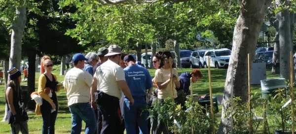 Valley Village Earth Day Tree Giveaway