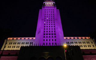 city-hall-purple-and-gold