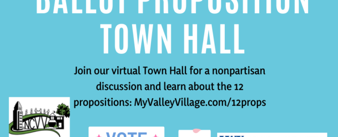 12 proposition town hall